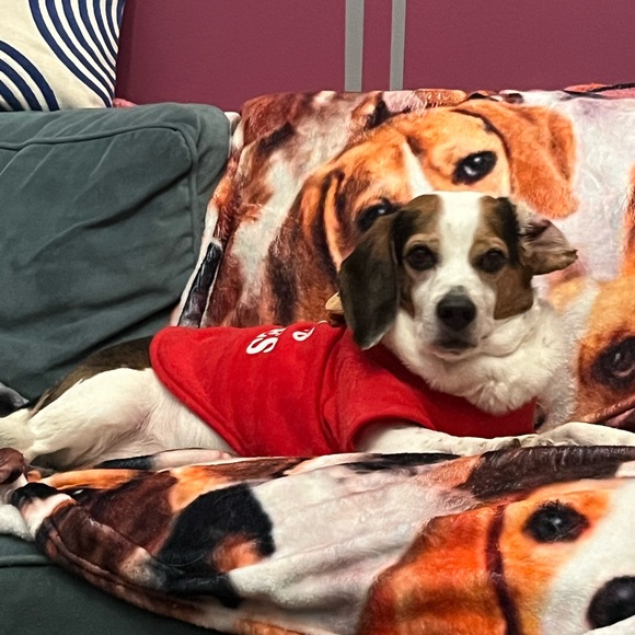 Meet your Posher, Kelly - Picture 2 of 7